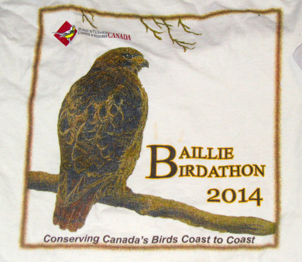 BirdBoy Great Canadian Birdathon 2014