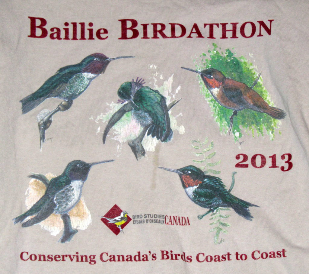 BirdBoy Great Canadian Birdathon 2013