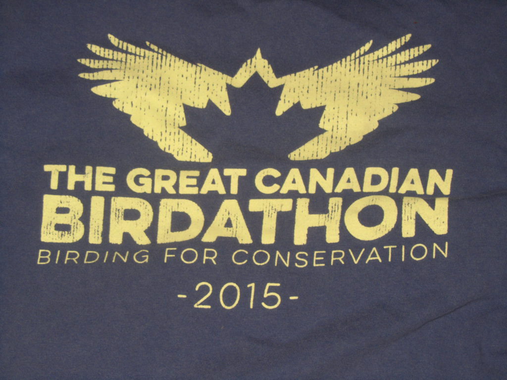 BirdBoy Great Canadian Birdathon 2015