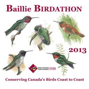 Baillie Birdathon