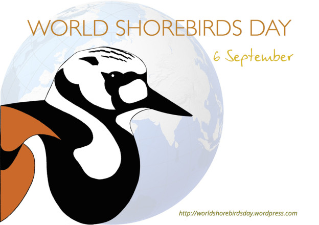 “World Shorebirds Day” – this weekend!