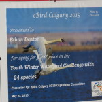 Youth Winter Waterfowl