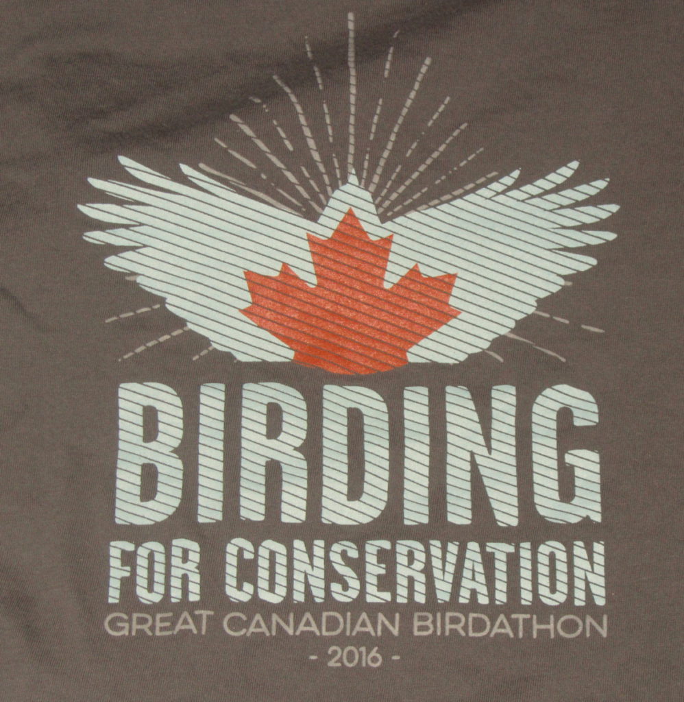 BirdBoy Great Canadian Birdathon 2016